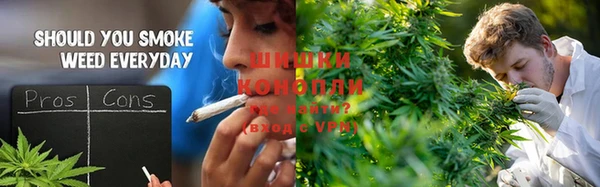 крисы Верея