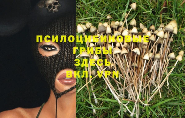 крисы Верея
