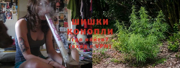 хмурый Бородино